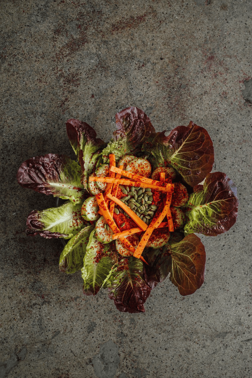 Palma Plant-Based Catering portfolio 1