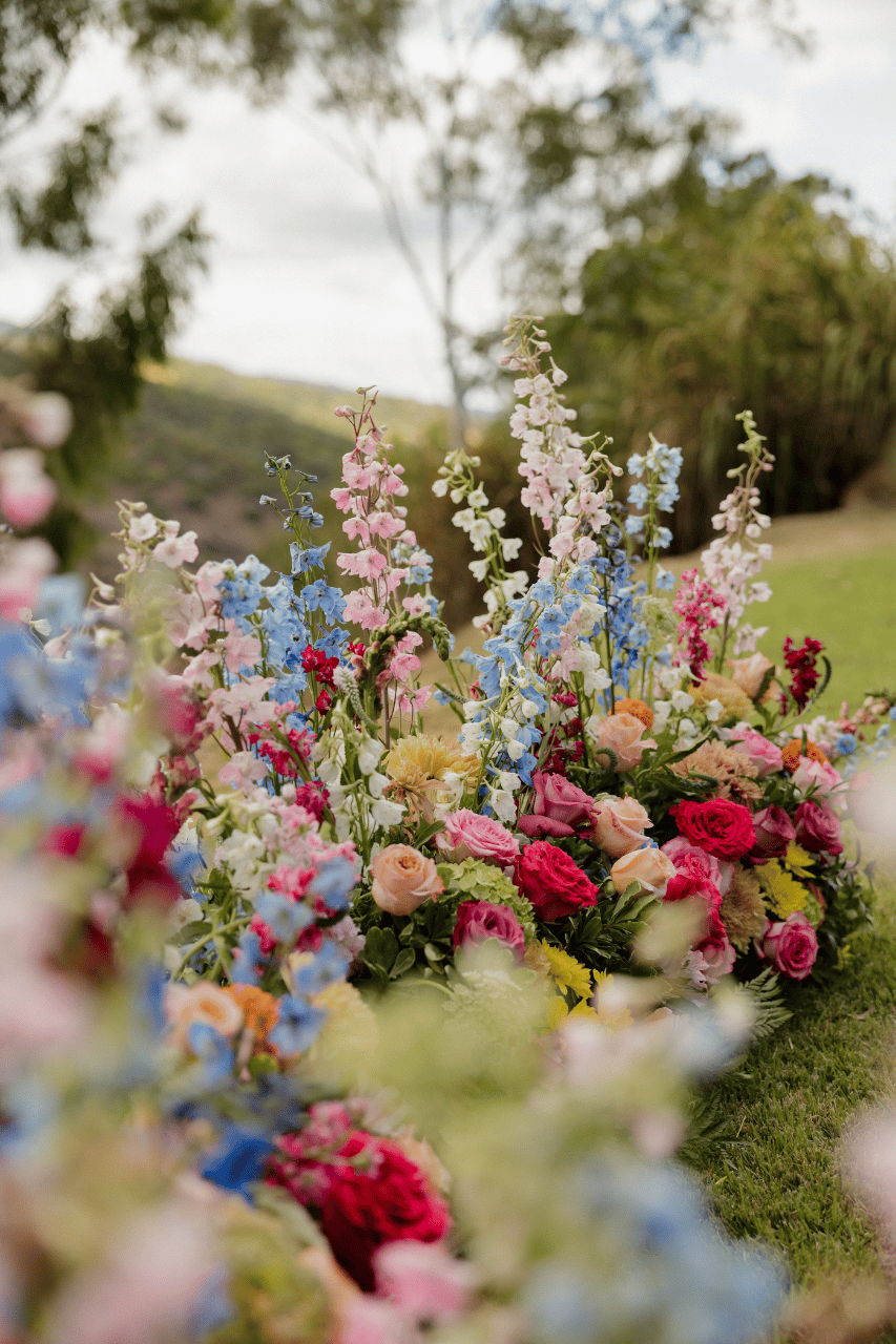 Waialua Valley Farms portfolio 3