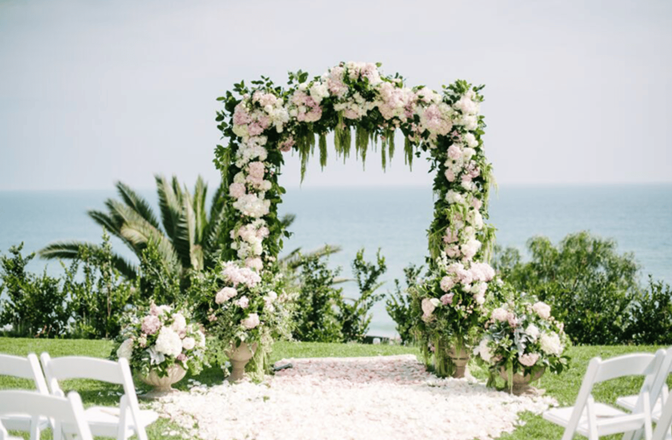 Wisteria Lane Flowers portfolio 2