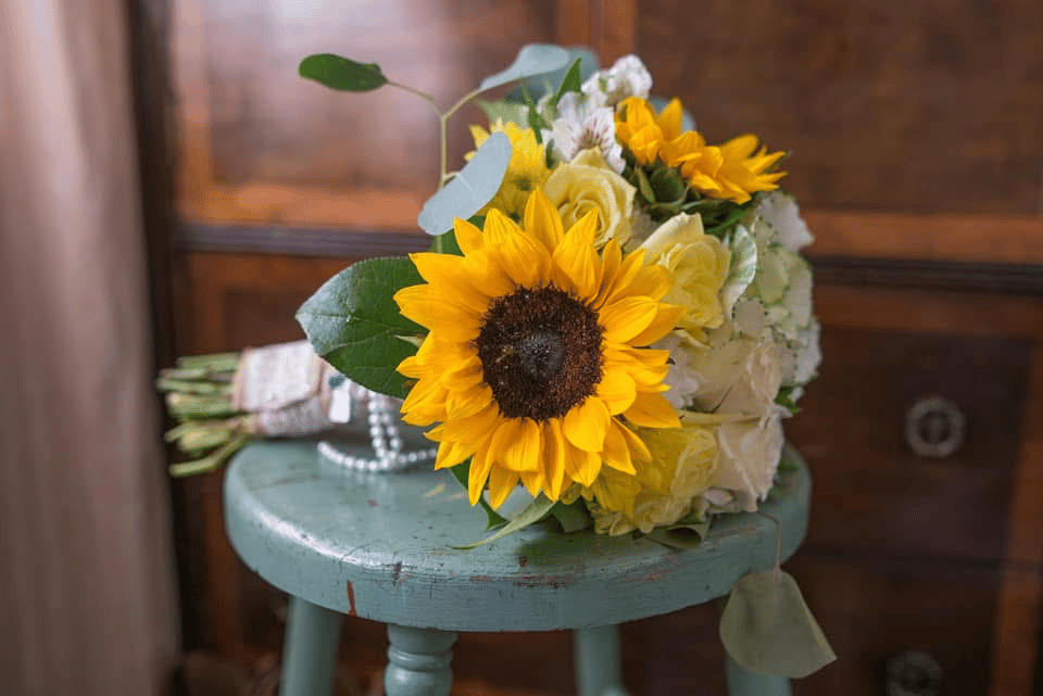 Frannie’s Flower’s portfolio 2