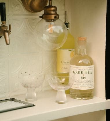 Deeluxe Bartending and Events portfolio 4