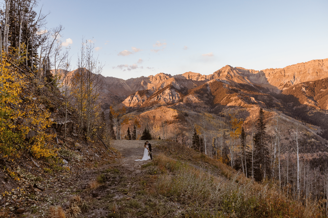 Wandering Wildflower Films