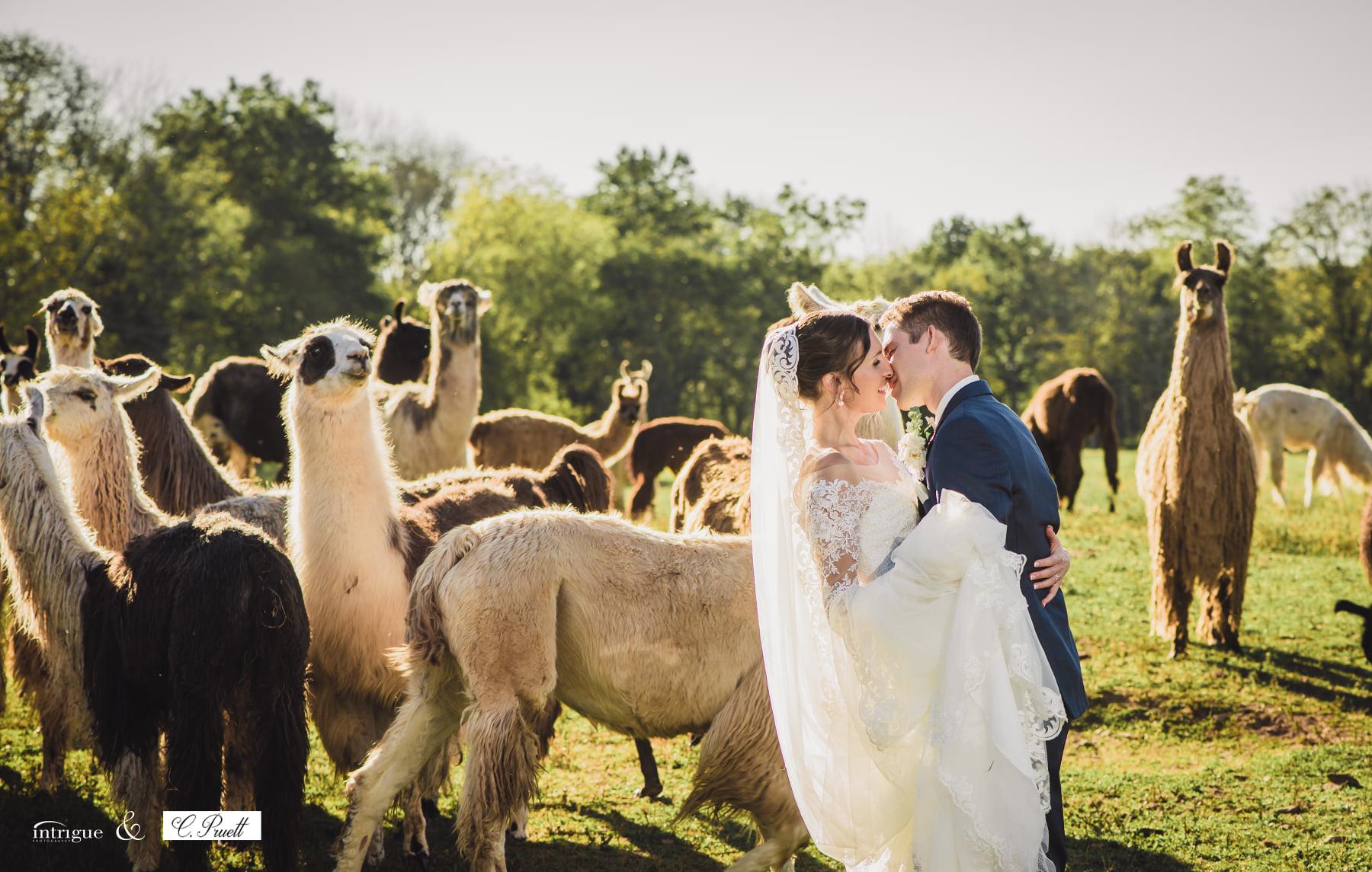 Clair Pruett Photography and Video portfolio 4
