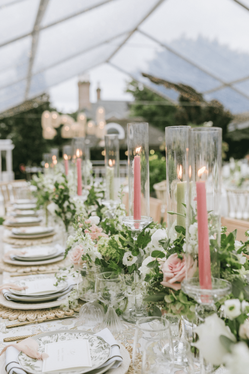 AAA Party Rentals portfolio 5