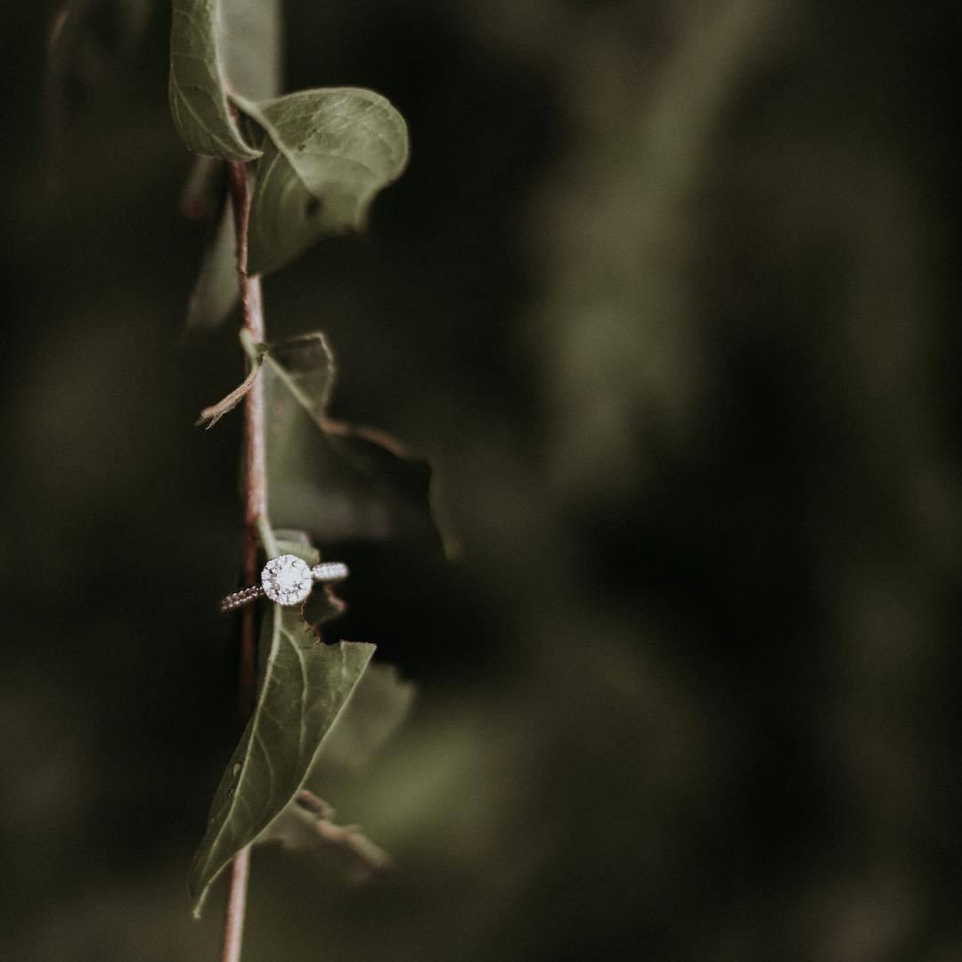 JNA Visuals portfolio 1