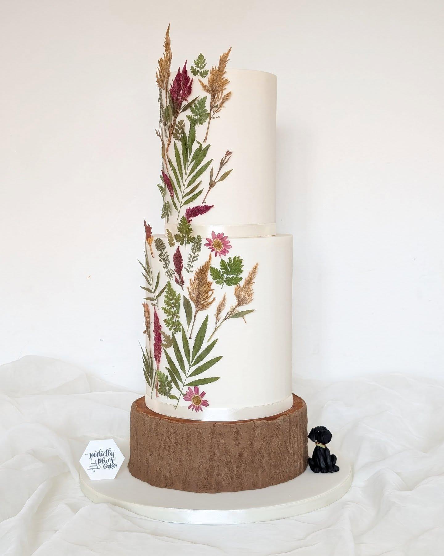 Perfectly Plum Cakes portfolio 3