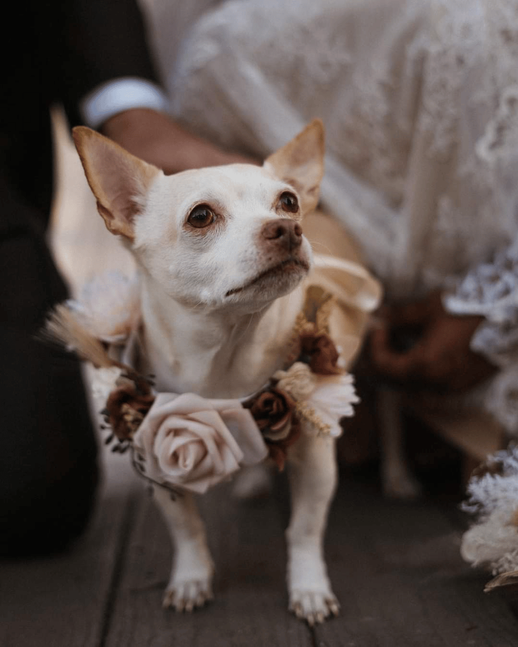 Into the Mystic Wedding & Events portfolio 5