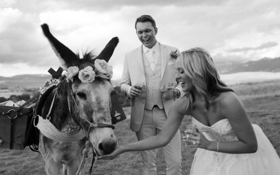Stacey Goods Farm & Events