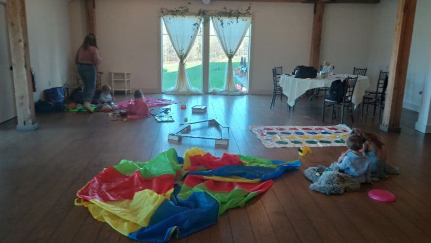 Lisas Wedding Vacation Childcare llc portfolio 3