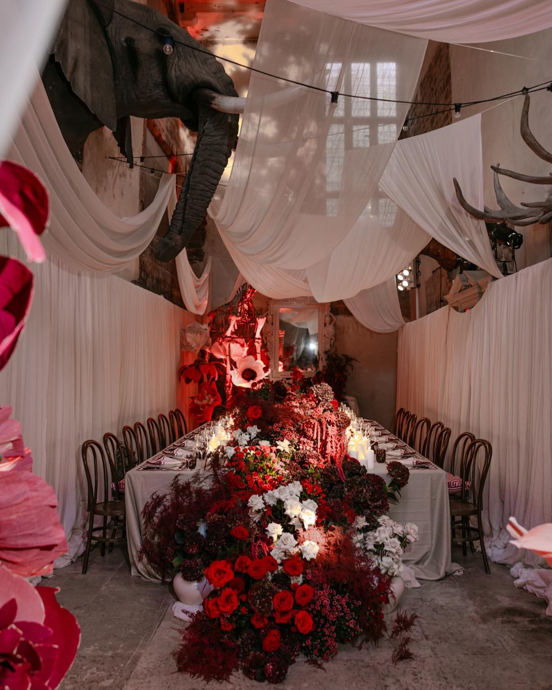 Rebecca Carpenter Photography portfolio 5