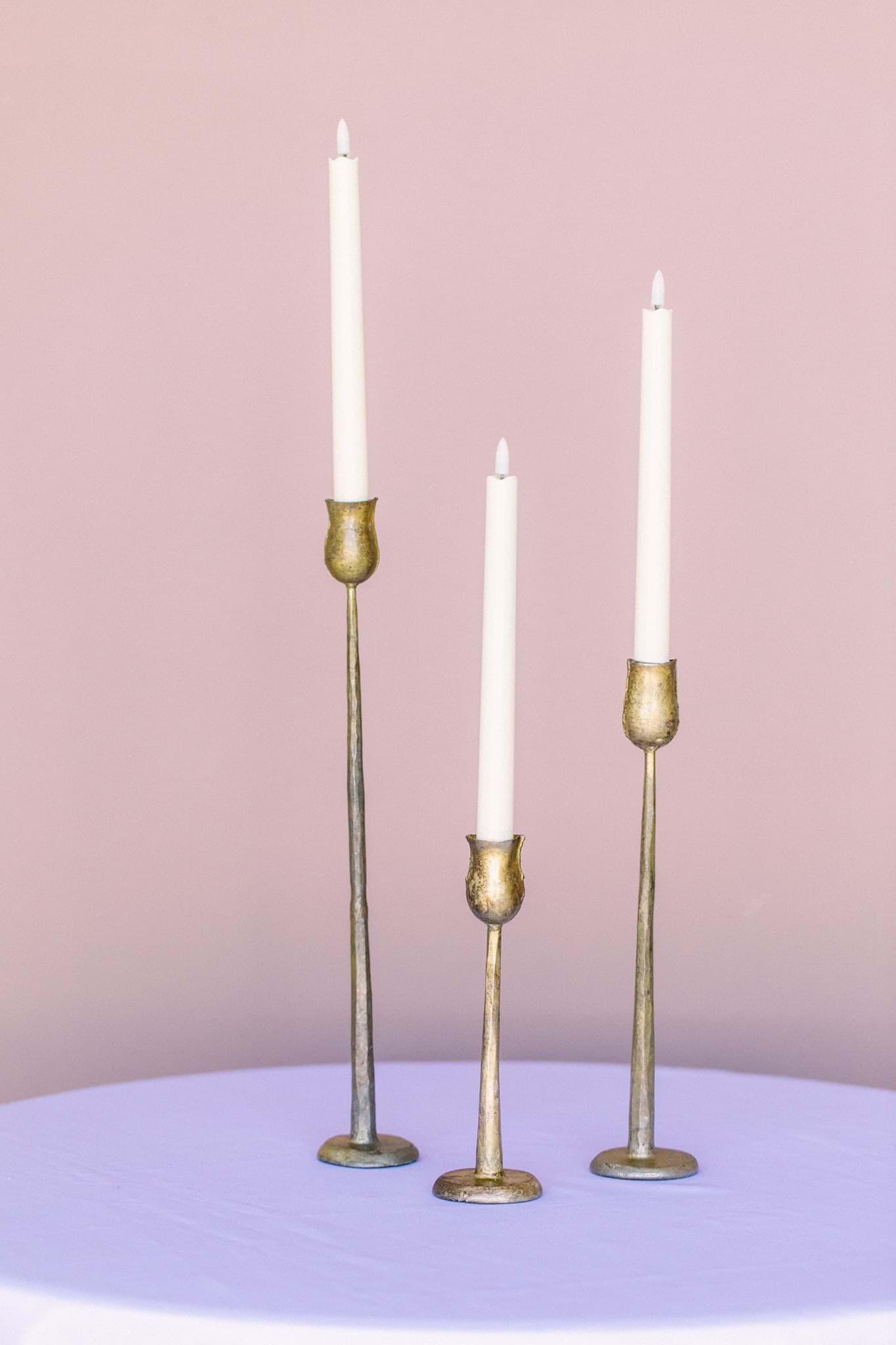 Tulip Candlesticks (Set of 3)