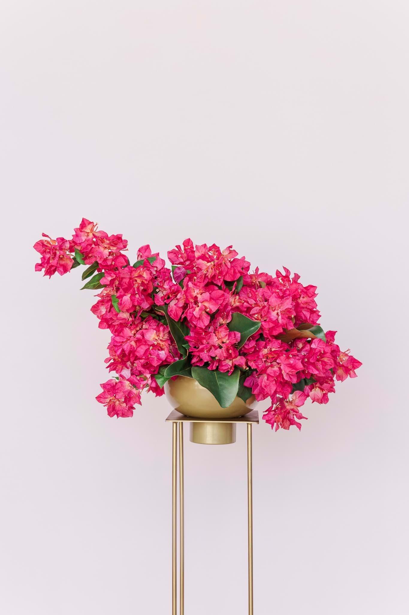 Gemma Grand Centerpiece