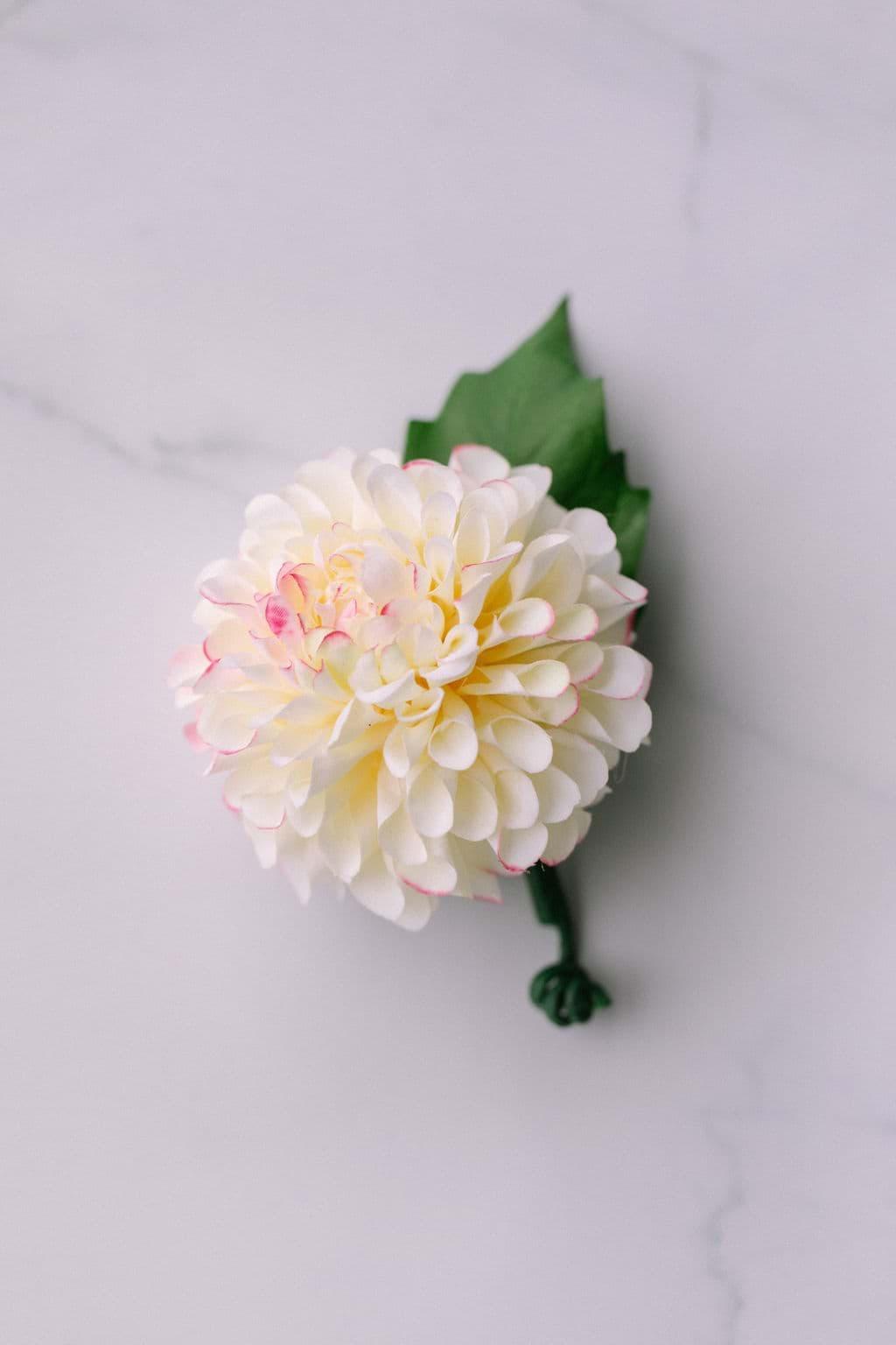 Eloise Boutonniere (Dahlia)