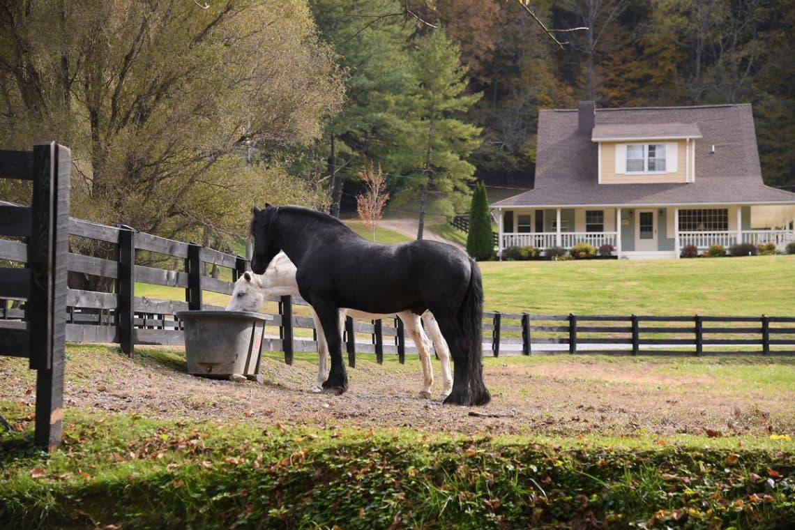 Wellspring Valley Farm