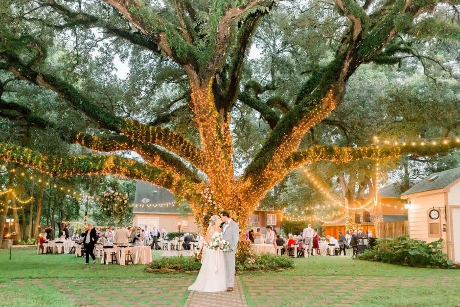 Oak Tree Manor