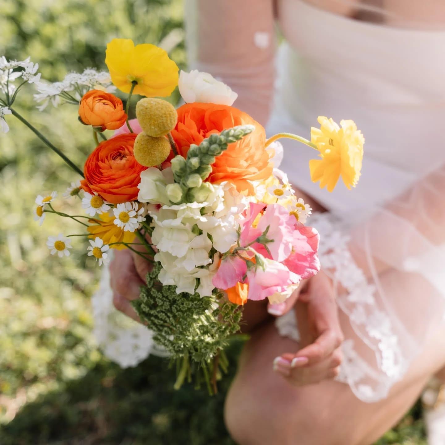 The Posy Yard