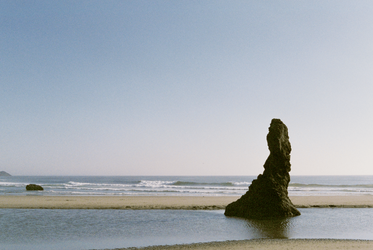A Non-Traditional Styled Shoot in Florence, Oregon photo 3