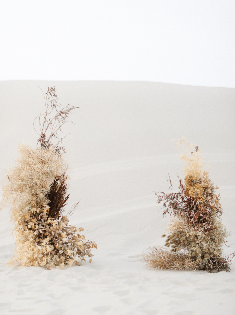 Forestandlfora portfolio 4