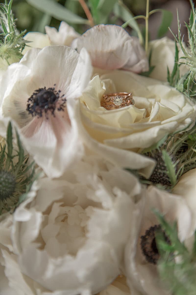Stephanie Eddy Photography portfolio 2