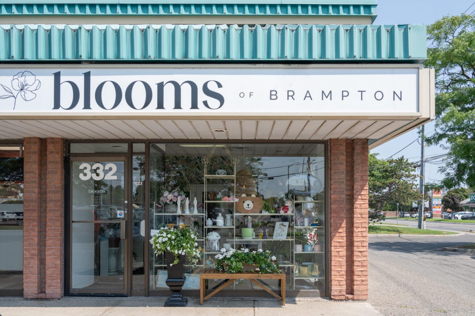 Blooms of Brampton portfolio 2