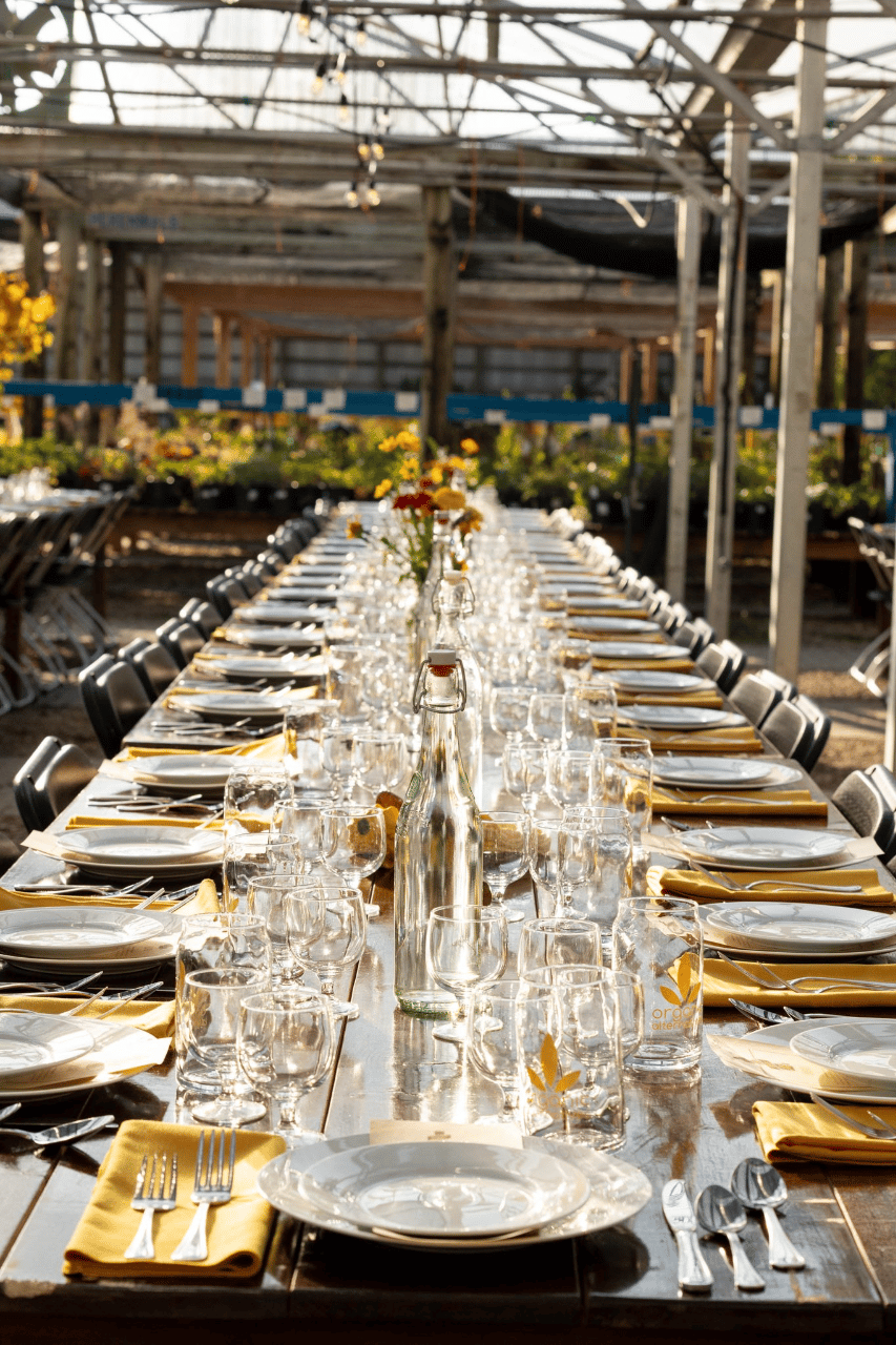 Front Range Event Rental portfolio 3