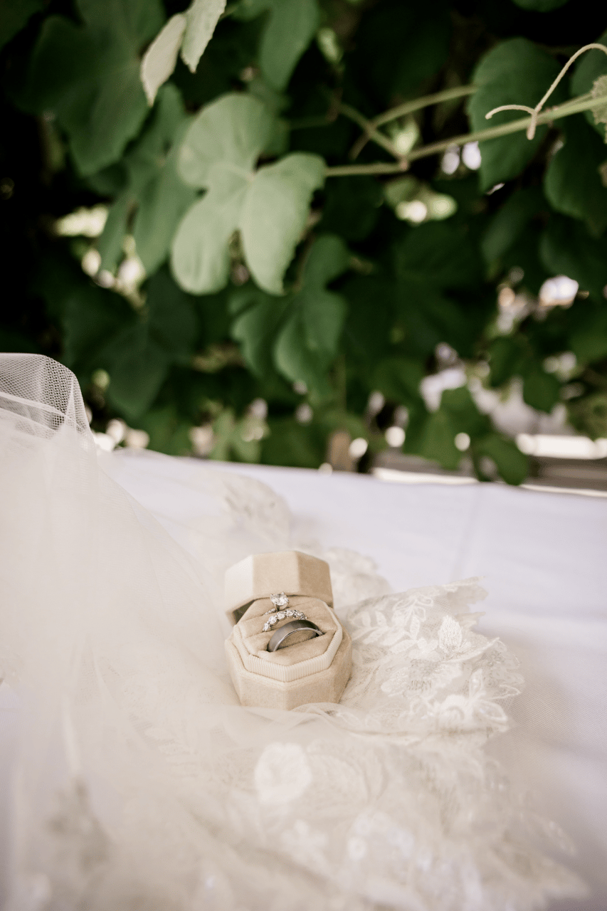 A Classic Summer Wedding at Jacquot Vineyard photo 2