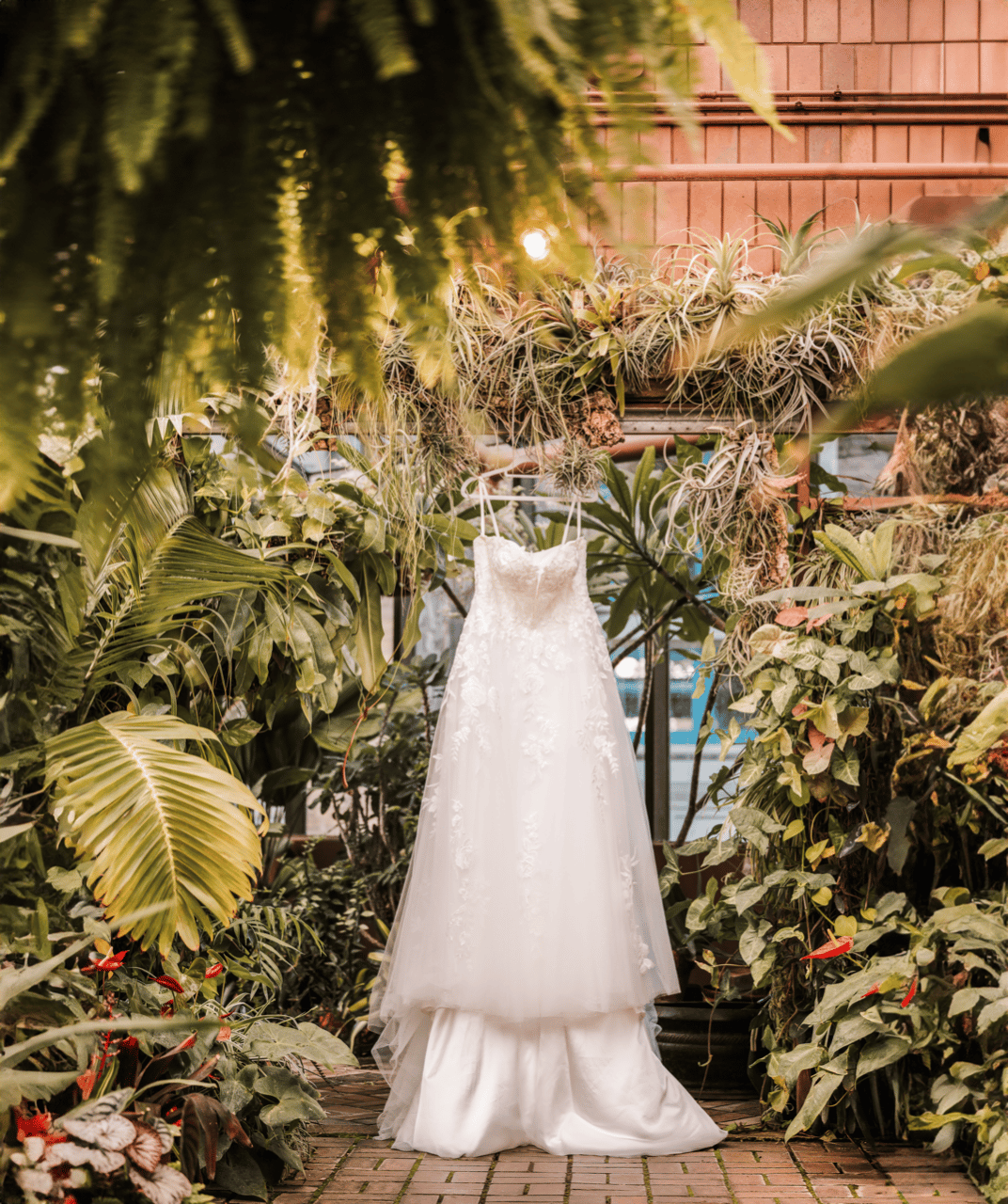 Debra Aslanidis Photography portfolio 5