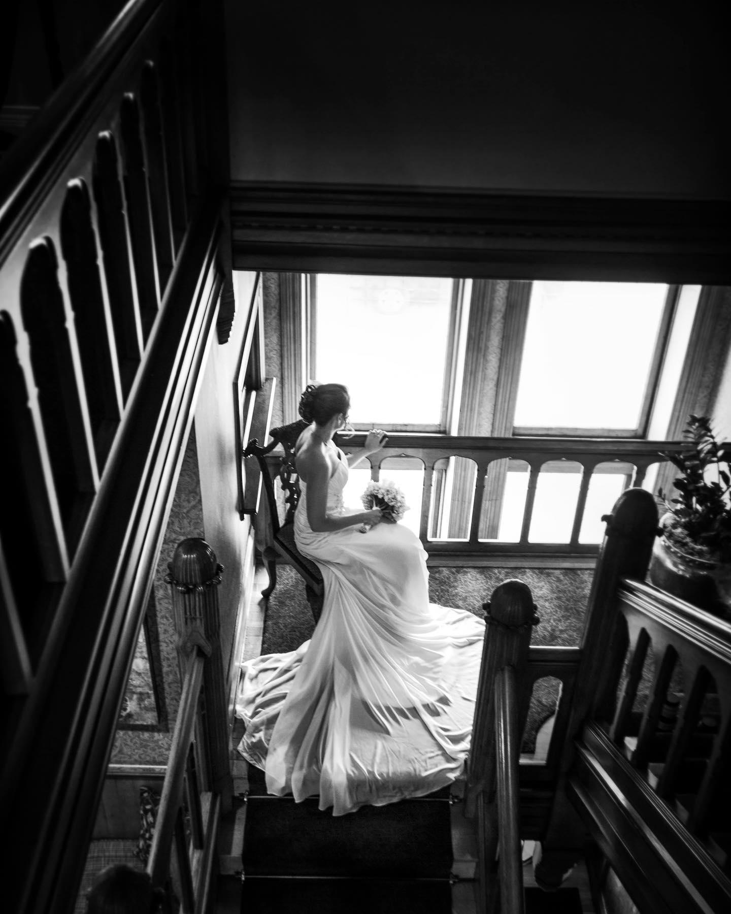 Perennial Image portfolio 3