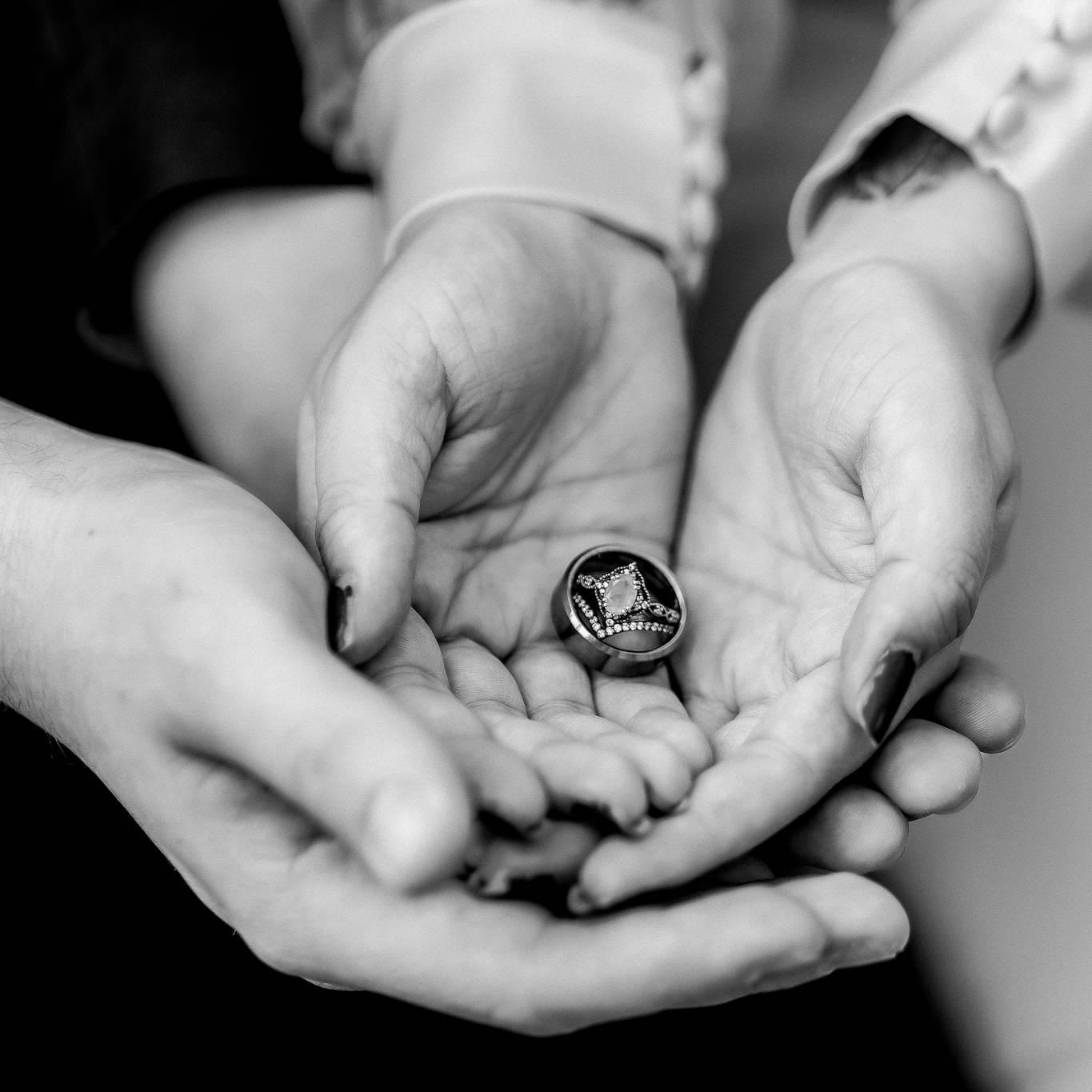 Rose & Rood Photography