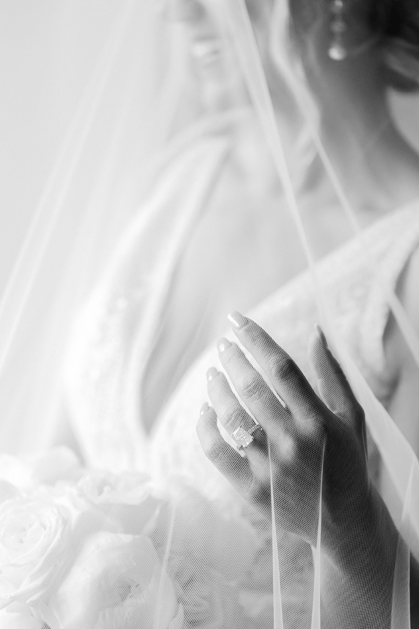 Michelle Lippert Photography portfolio 2