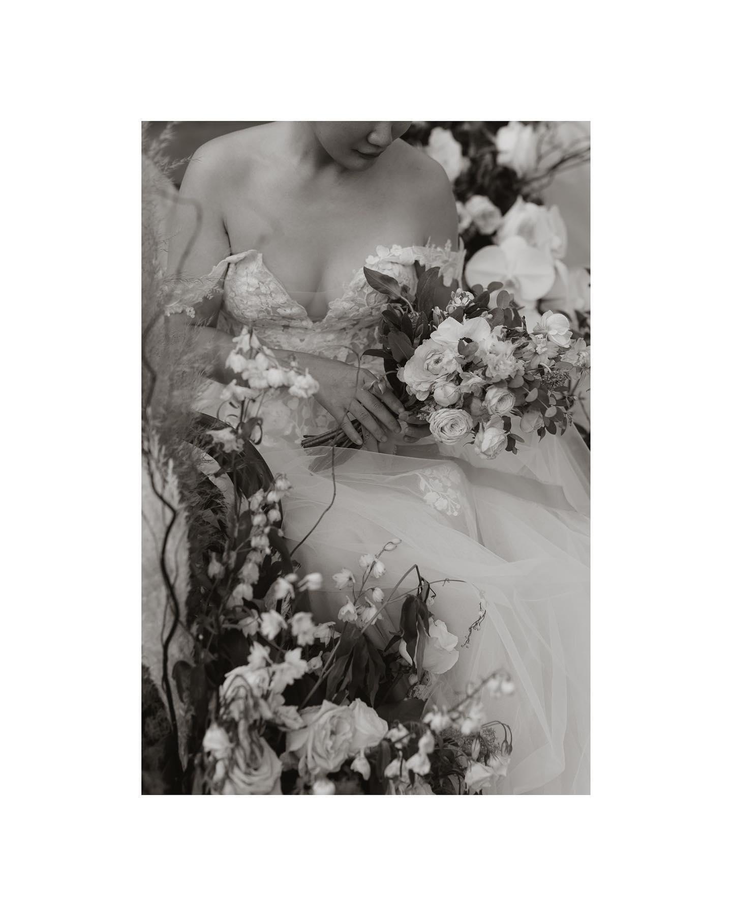 EvaQphoto portfolio 3