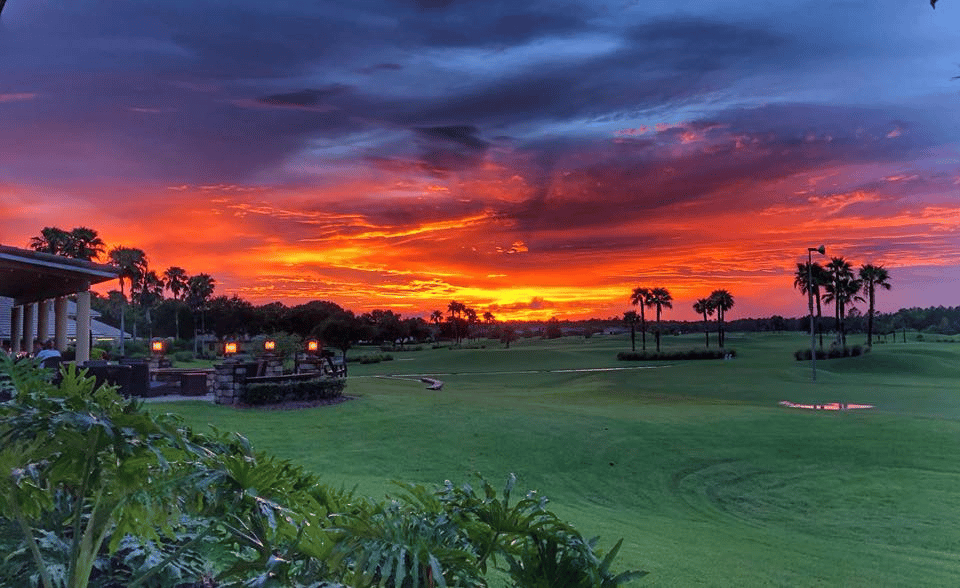 Lpga International portfolio 3