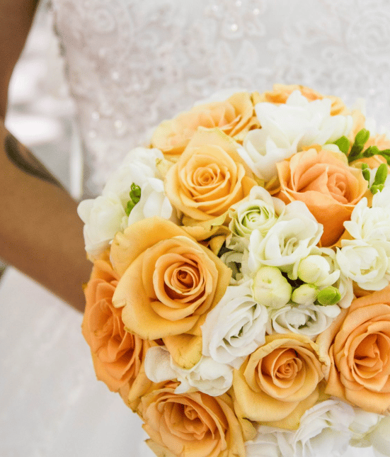 ANV Bridal Valet portfolio 2