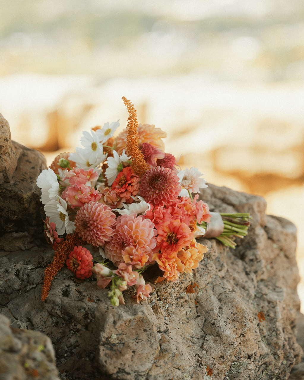Mountain Belle Flower Farm