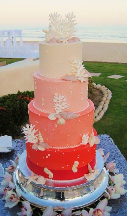 SWEET DREAMS CABO Special Occasion Cakes portfolio 3