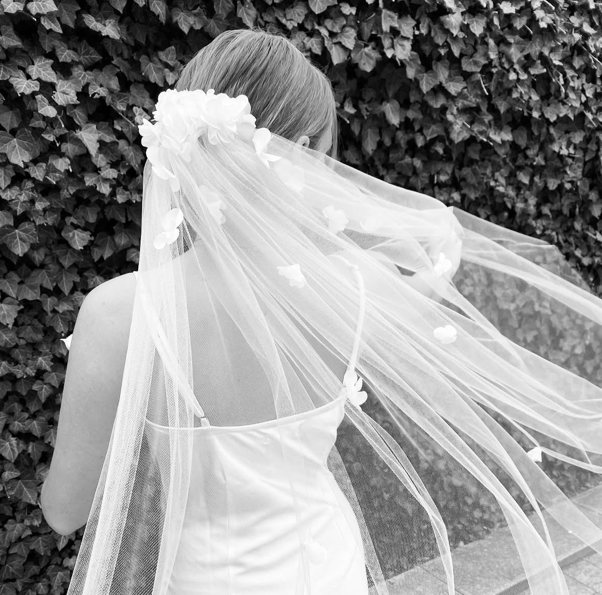 Madeleine Daisy portfolio 5