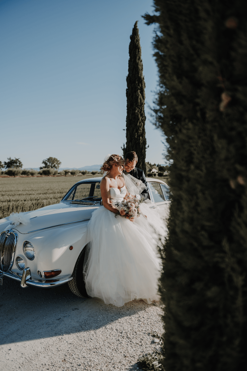 Lavinia Events Creator portfolio 5