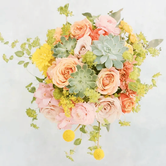 C&M Fleuri portfolio 2