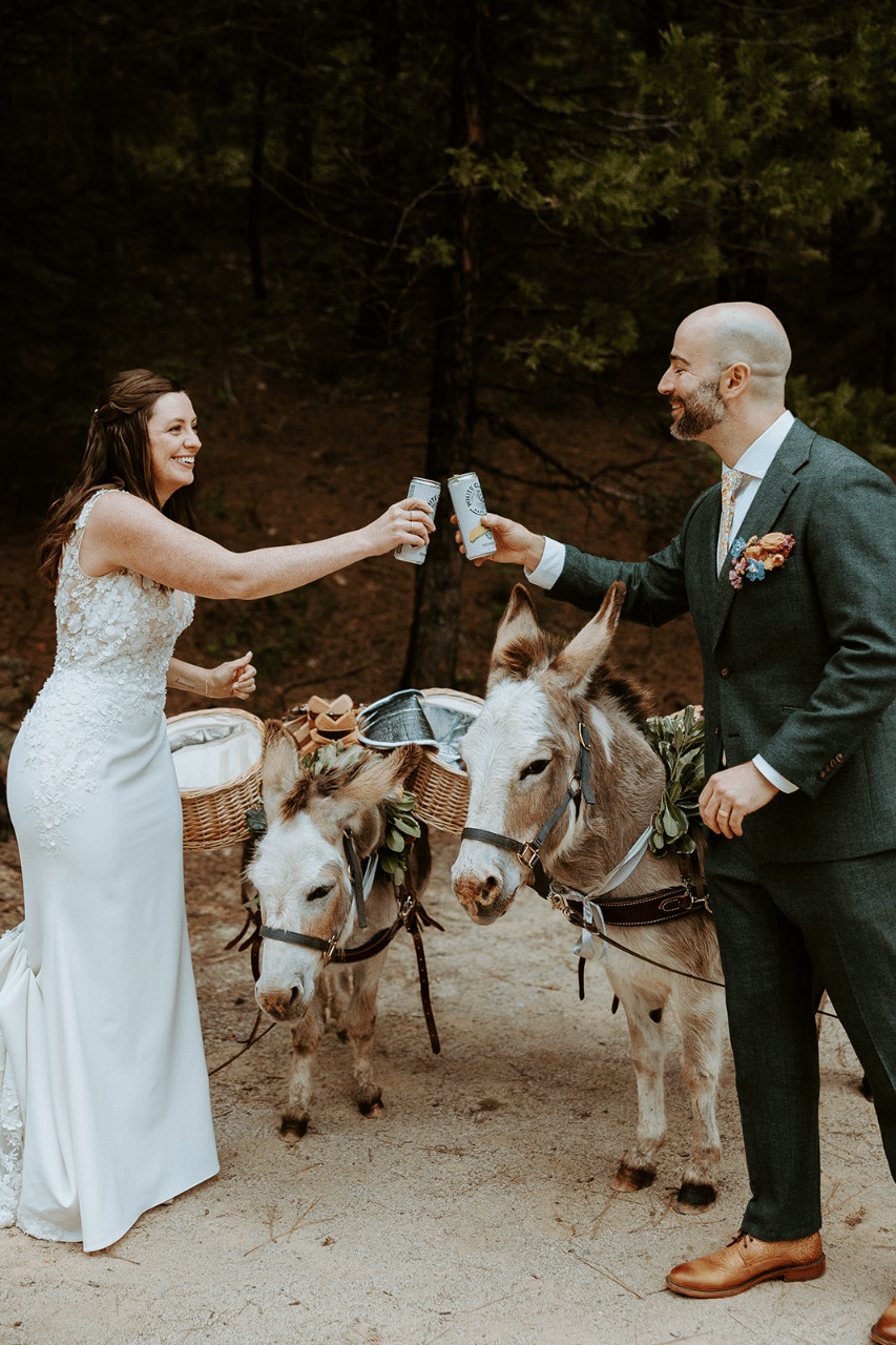 Moonridge Donkeys