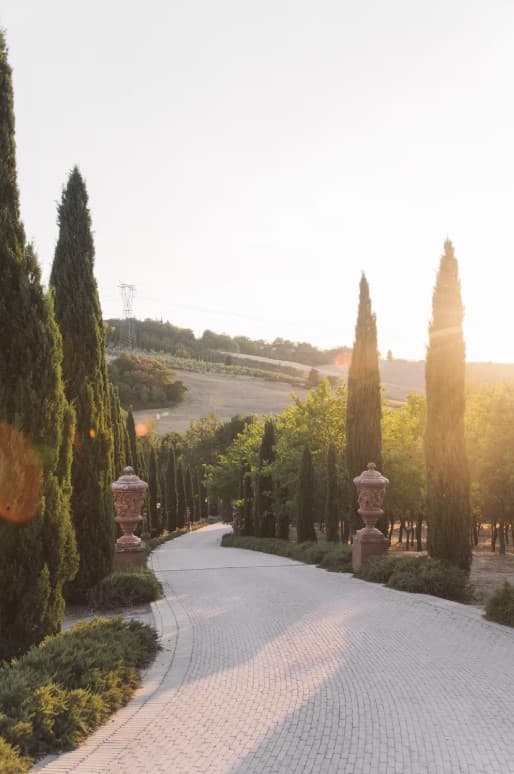 Tenuta Corbinaia portfolio 1