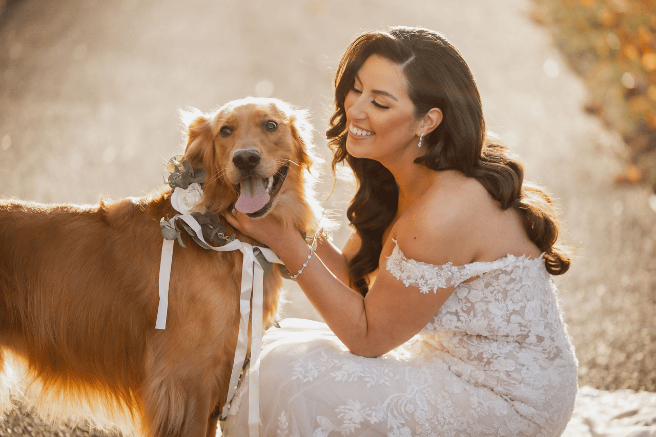 Pawfect for You, Inc. portfolio 3