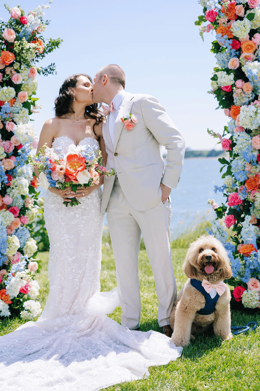 Pawfect for You, Inc. portfolio 5
