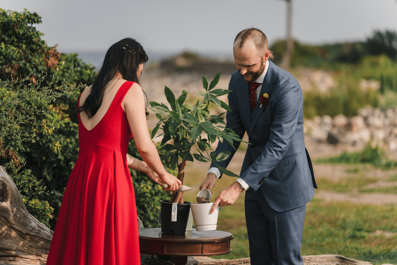 A Non-Traditional Summer Wedding at Seacoast Science Center photo 2