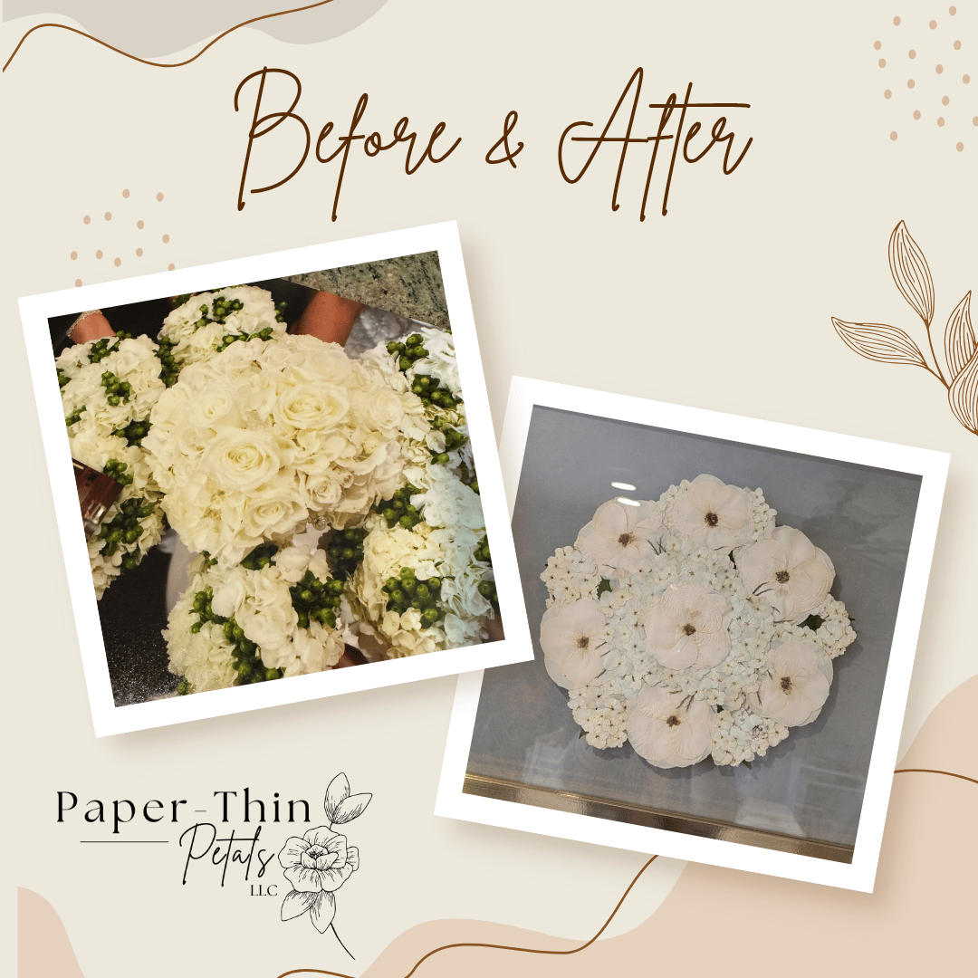 Paper-Thin Petals, LLC portfolio 3