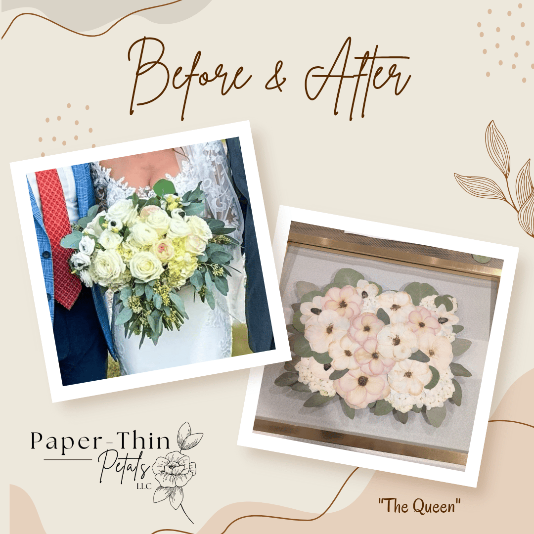 Paper-Thin Petals, LLC portfolio 1