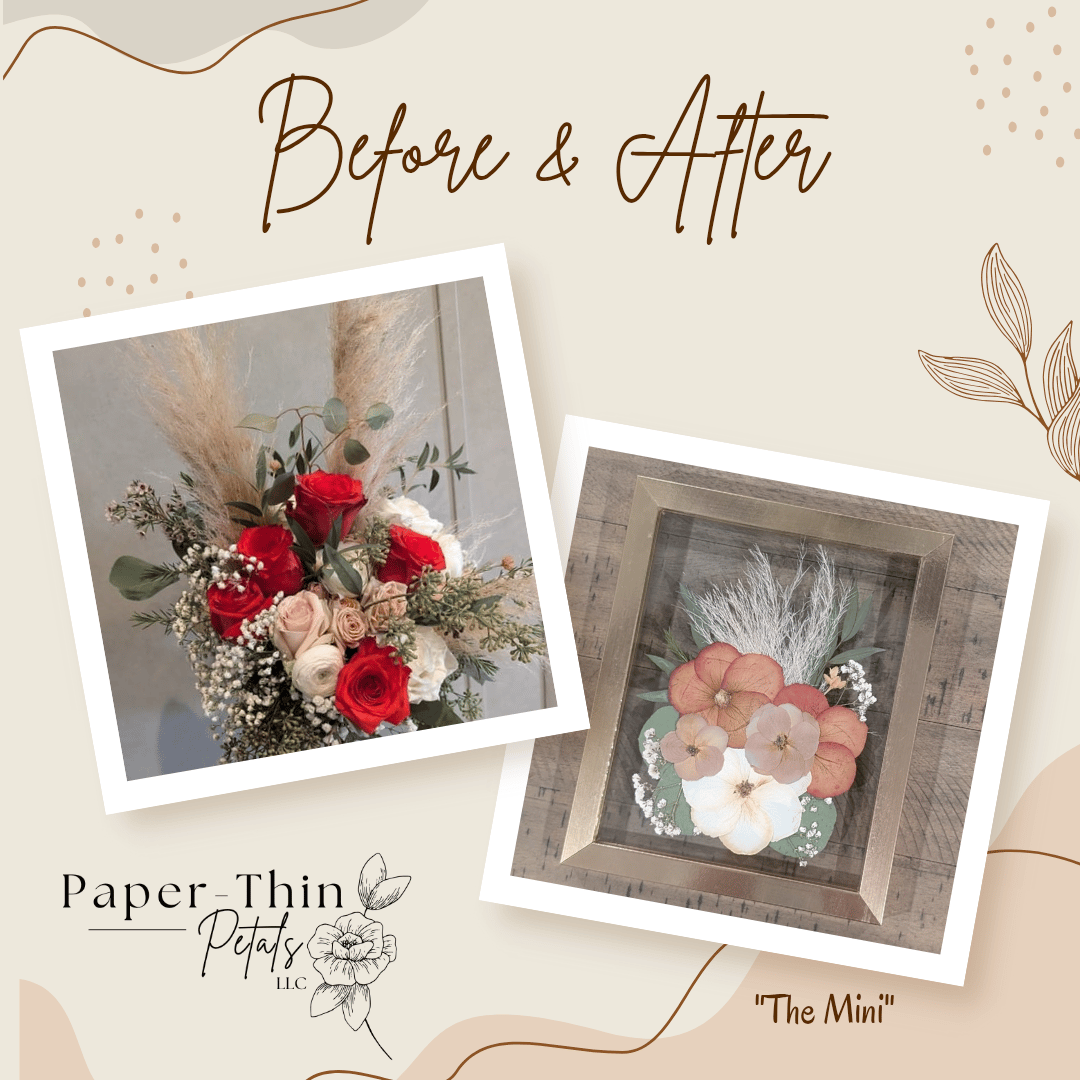 Paper-Thin Petals, LLC portfolio 5