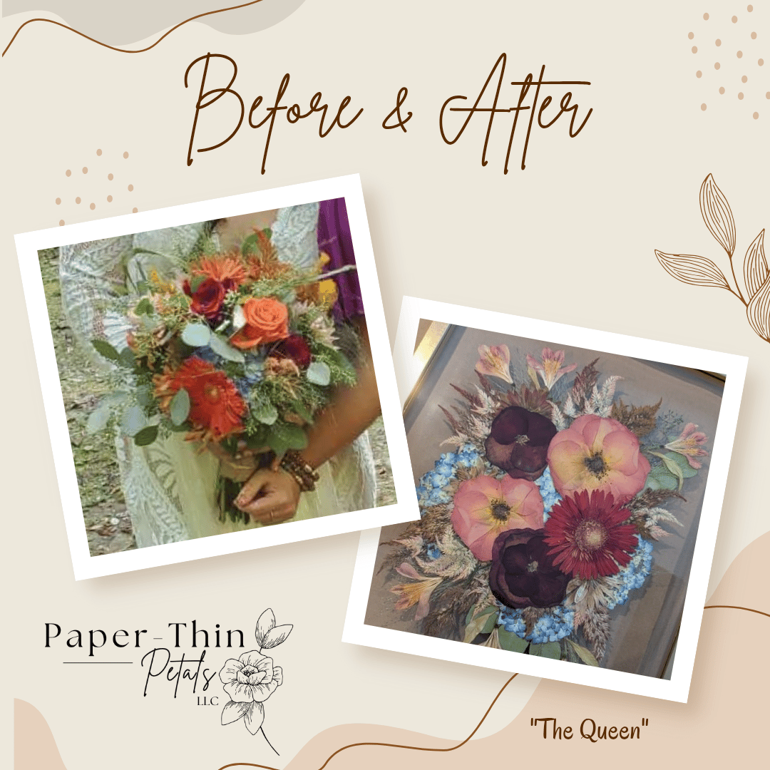 Paper-Thin Petals, LLC portfolio 4