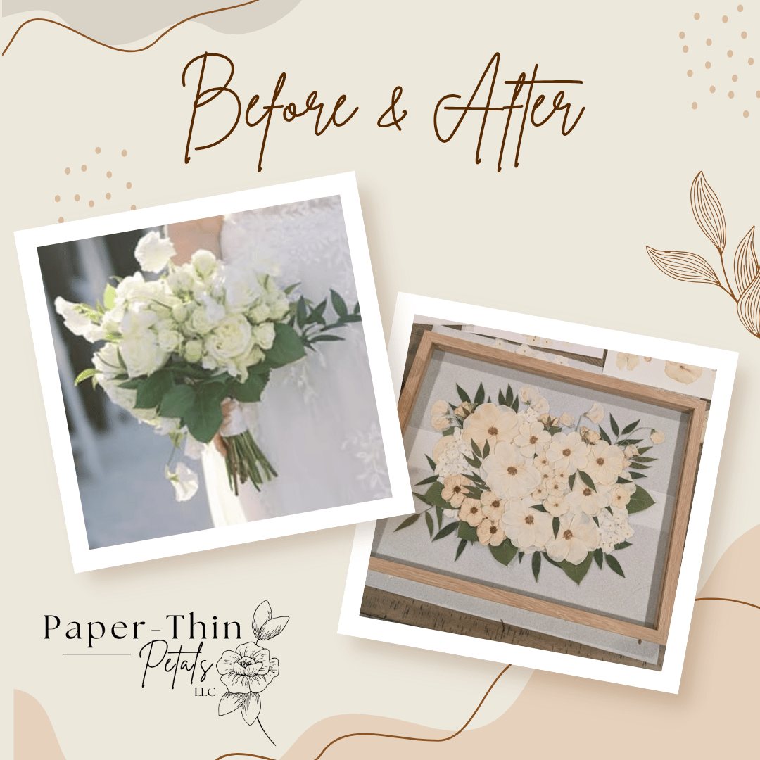 Paper-Thin Petals, LLC portfolio 2