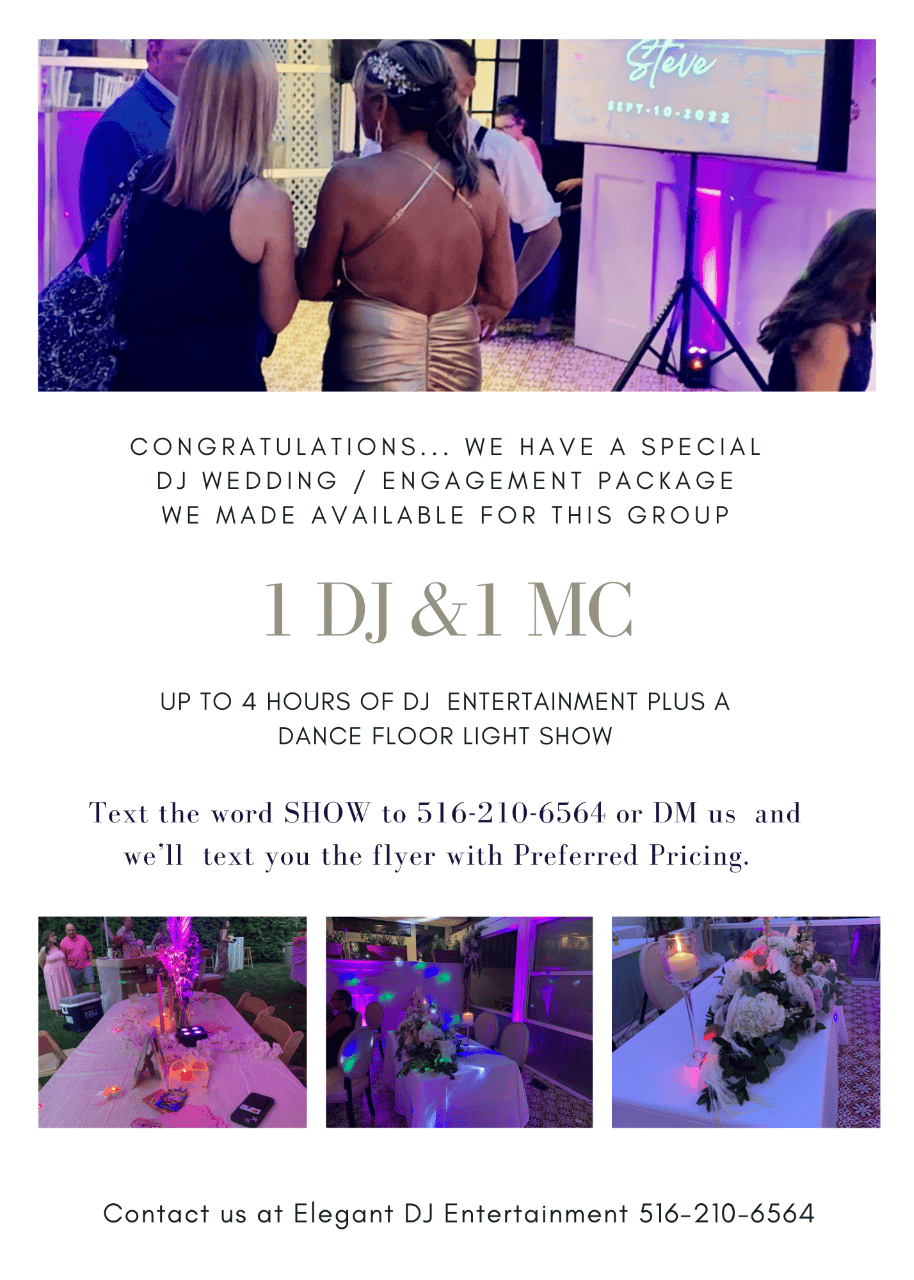 Elegant DJ Events portfolio 4