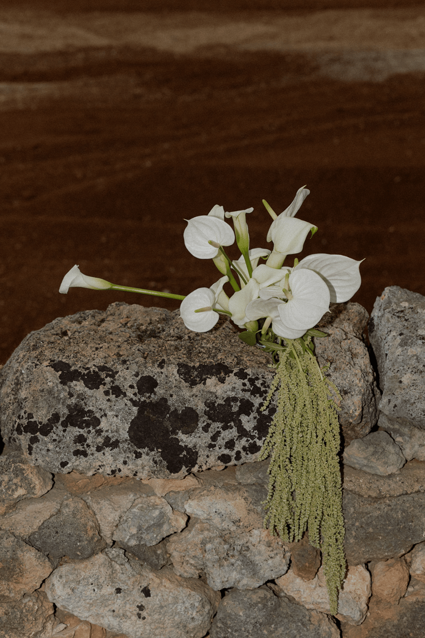 Caterina Florist